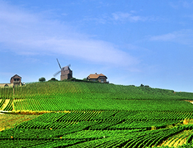 nature Champagne-Ardenne